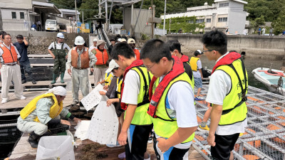 5　海藻詰め込み (2)
