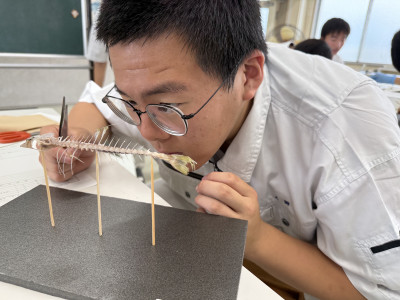 IMG_0462