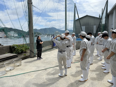0706マダイ放流 (1)