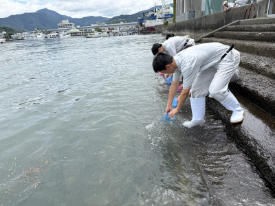 0706マダイ放流 (6)