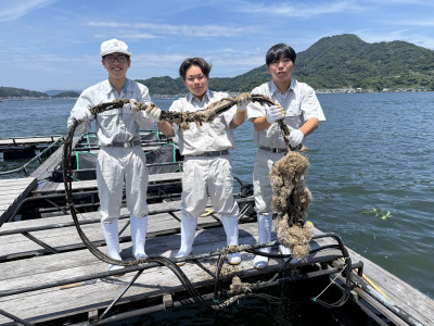 センサー洗浄前