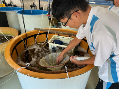 ワムシ管理 (3)