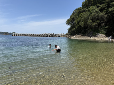 生物調査 (5)