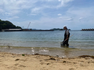 生物調査 (2)