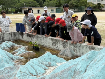 5月20日 (3)