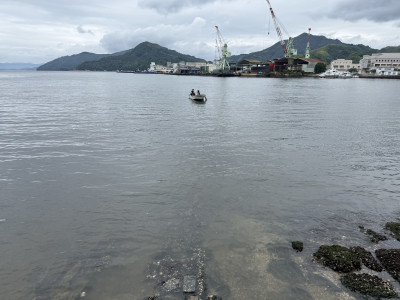 船上観察