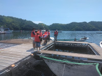 IMG_20250731_132951