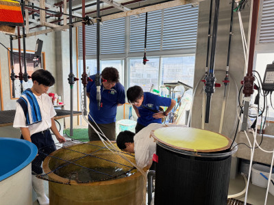 水研A (2)