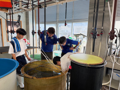 水研A (3)