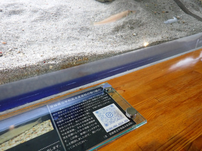 P9170004