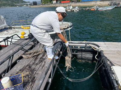 センサー洗浄