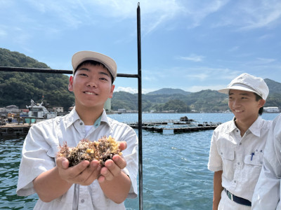 海綿動物