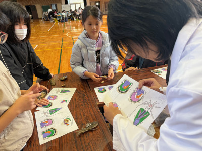 軟体動物の内部形態 (3)