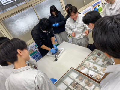 カミナリイカ (1)