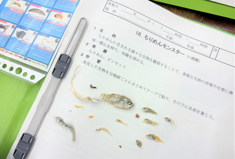 ちりめん図鑑とちりめん