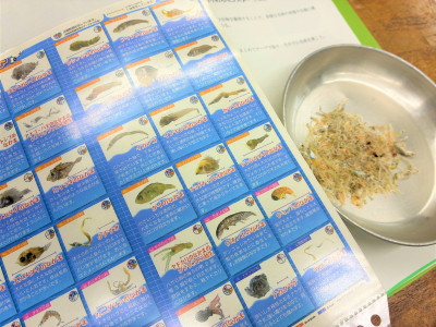 ちりめんメンバー図鑑