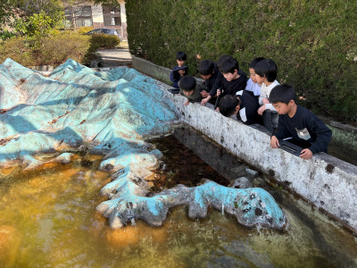 津島町模型池 (1)