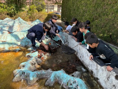 津島町模型池 (3)