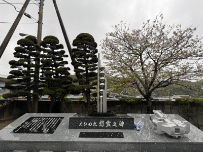 葉桜