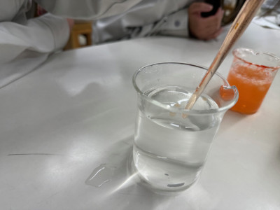 総実 (2)