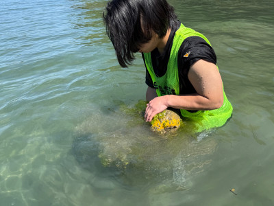 生育調査 (4)