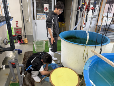 管理しているところ (2)